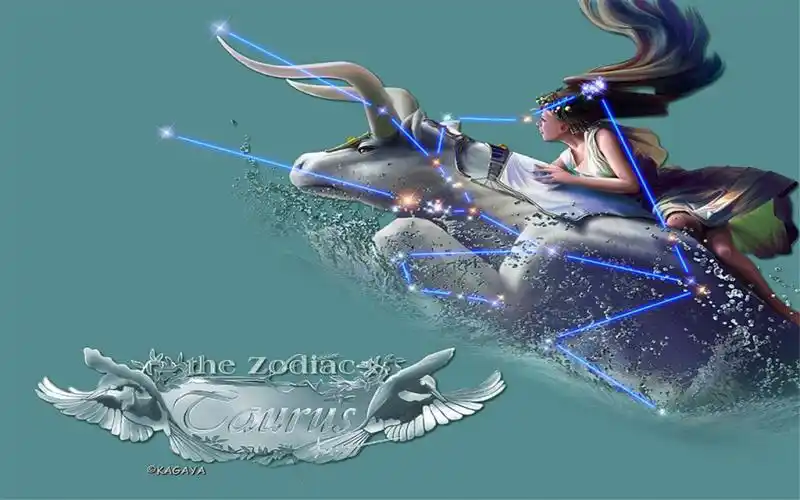 个性创意设计十二星座专属唯美图片桌面壁纸高清(1)