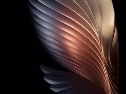 粉丝们最爱的三星手机心系天下左翅膀动态壁纸 #心系天下 #动态壁纸