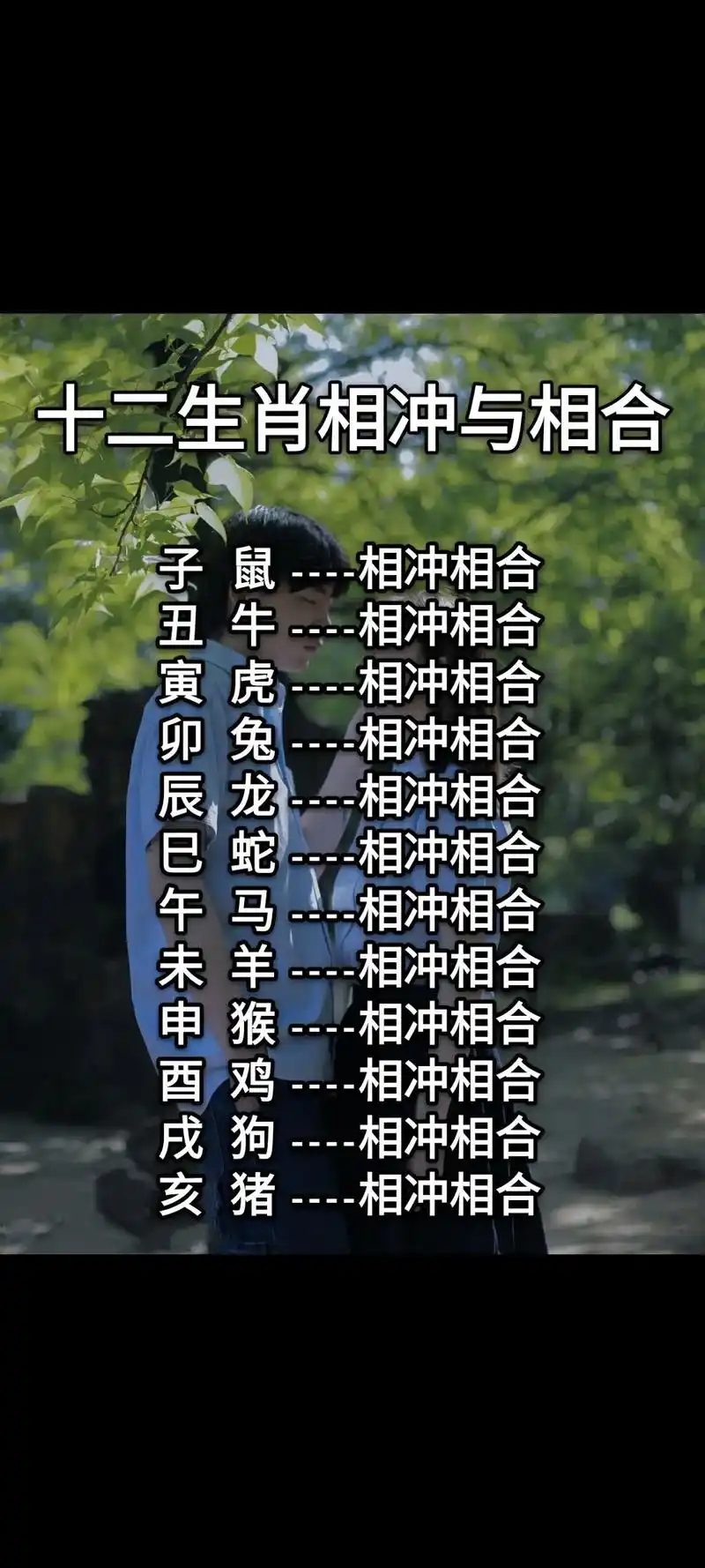十二生肖相冲相合 - 抖音