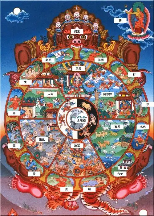 人生杂感随笔-观佛教与道教(六道轮回)_双缝干涉实验 禅, 佛家,道家