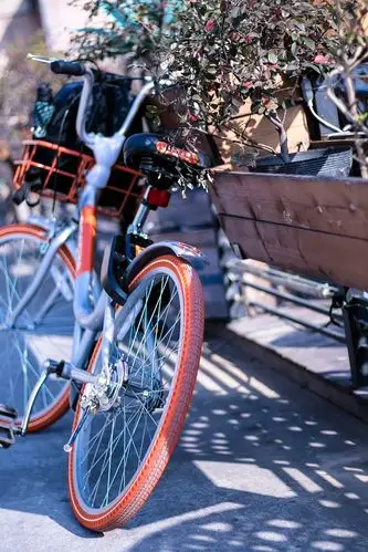 平时个人爱好拍一些生活小场景.