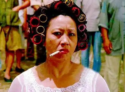 金鸡百花配角奖争夺激烈元秋李冰冰pk组图