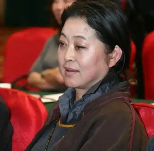 近日,著名女演员倪萍在采访中透露自己的鼻孔外翻相貌改变了.