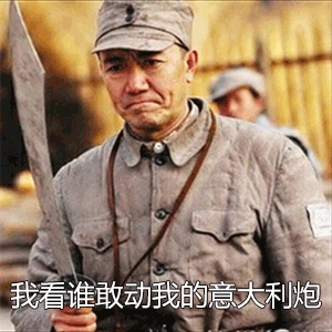 亮剑 李云龙 抖音 李云龙组织 我看谁敢动我的意大利炮 soogif soogif