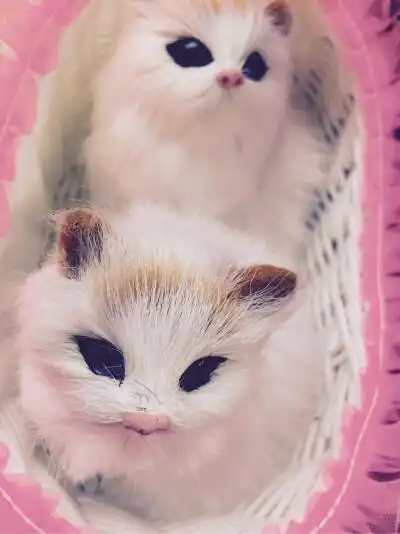 少女心壁纸头像