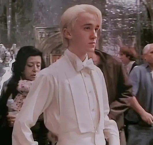 哈利波特  #德拉科马尔福潘西在逃齐刘海06-05回复来啦,祝小龙生日