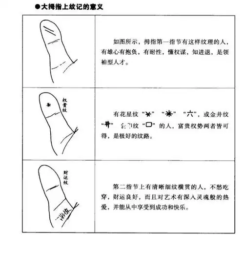 教你看手相~大拇指的看法_手相_手相教学_星座命理_星座命理其他