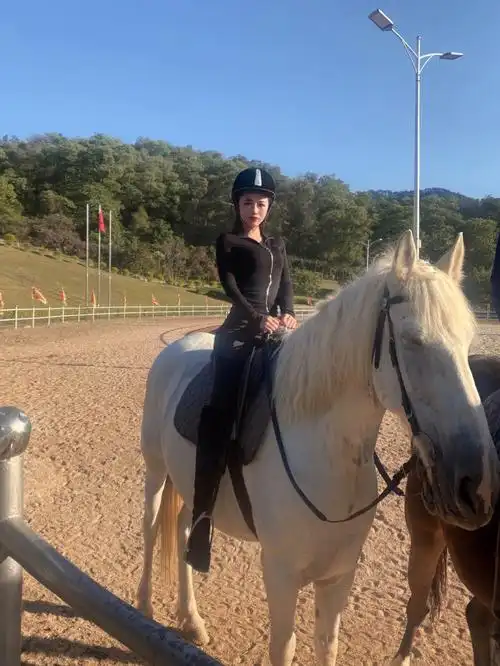 【御盛马场】在赤泥,去的路风景很舒畅.有不同价格,进口马会比较贵.