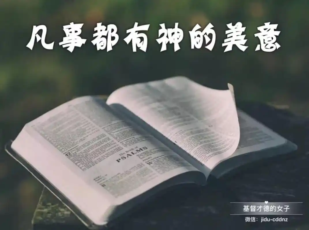 我怎样才可以坚持每天读圣经?有秘诀吗?