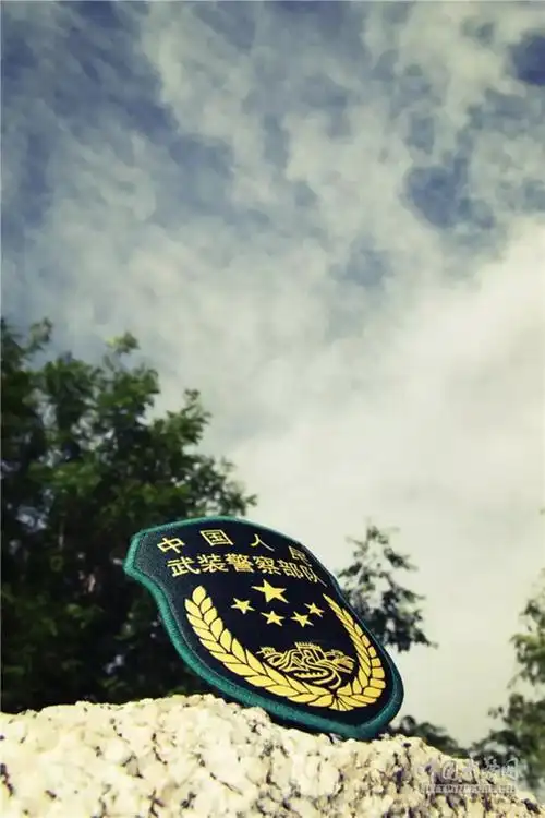 武警新臂章做手机壁纸,这种风格你喜欢吗? - 中国军网