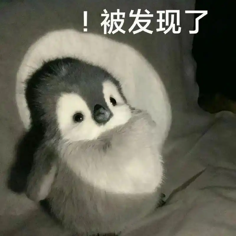 小企鹅表情包93 676767 #可爱表情包# #表情包分享# #搞笑