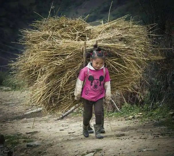 那些让80后农村孩子看了想流泪的割麦子场景