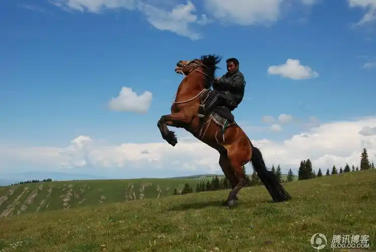 我的图片_风哥的论坛个人空间_张掖论坛