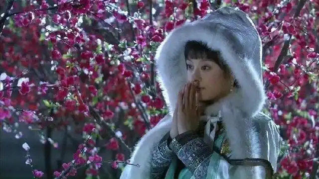 又仿佛把人带到了《步步惊心》里,若曦一袭红衣雪中起舞,虽是四爷的