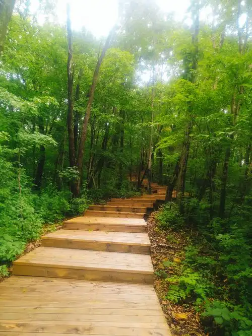 张广才岭深林公园