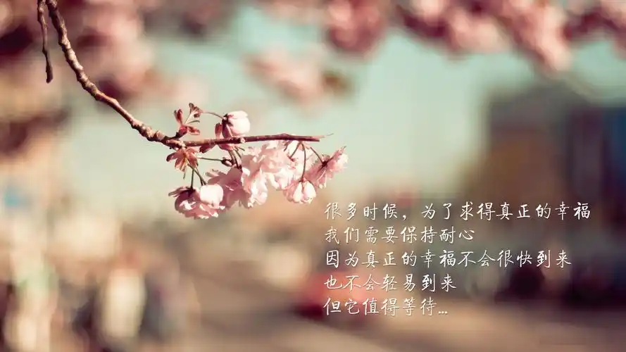 文字桃花唯美幸福等待文字控壁纸