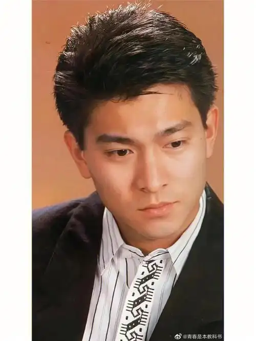 谁你心目中的最强男港星