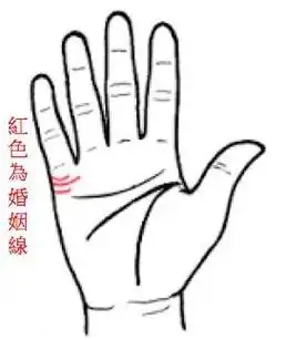 婚姻线手相分析/婚姻现在小指下的掌边,介於小指与感情线之间.