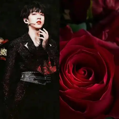 贺峻霖,灵魂珍贵,相貌闪光