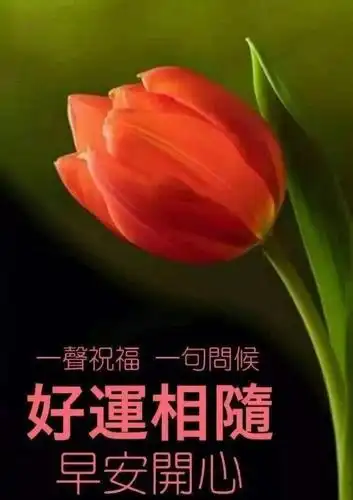 冬季早安心语正能量心灵鸡汤语录,早安励志图片带字正