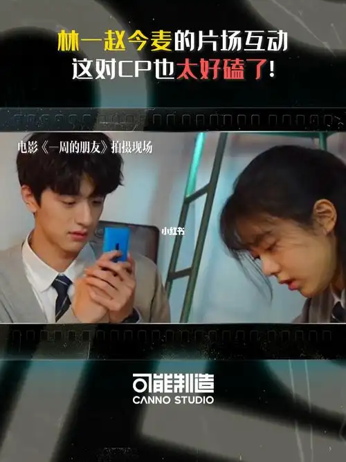 林一赵今麦cp嗑起来