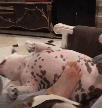 垫脚小弟,揉腿小妹,全套大保健可以有!