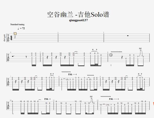 许巍-空谷幽兰 尾奏吉他solo电子版 伴奏 谱 视频演示