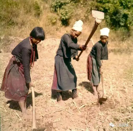 民族名片 | "目瑙纵歌"景颇族