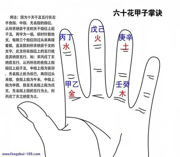 六十甲子纳音掌诀图