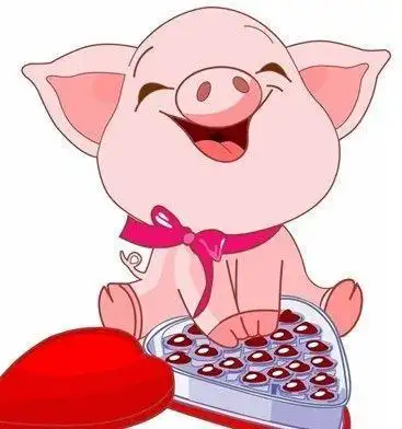 生在8月的生肖猪,贵人运旺,福气绵绵