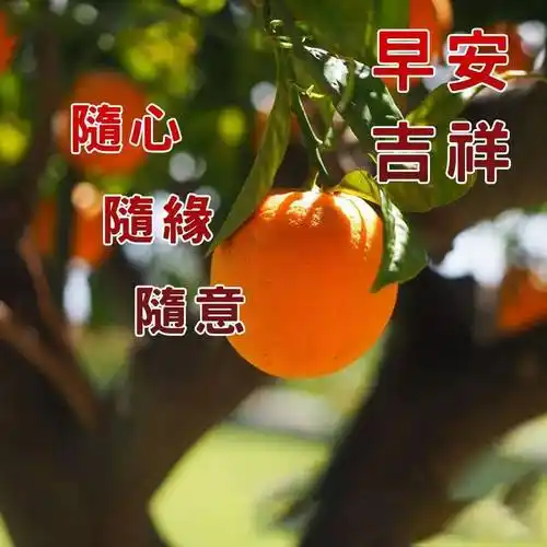 我的爱人,一切尽在不言中!早安!