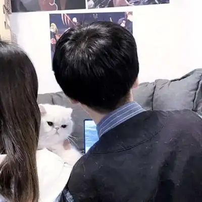 林川对象不是人是猫咪情侣头像