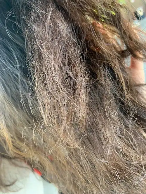 和我讲发尾会毛躁一点,已经不是毛躁,是直接把我左边头发烫焦了,不但