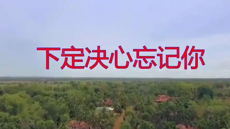 dj何鹏暴林的下定决心忘记你声音太醉人了超好听