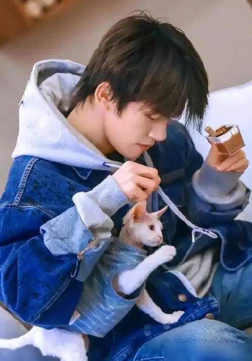 易烊千玺与猫互动超级温柔,在厨房的样子像极了男朋友
