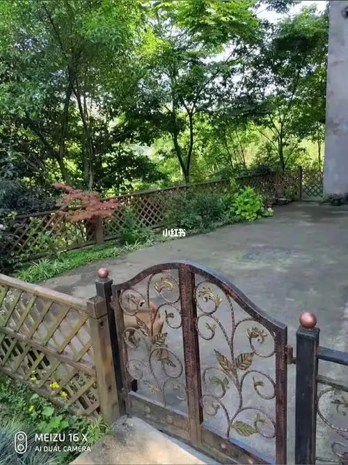 南山农家小院出售面积上证145平米