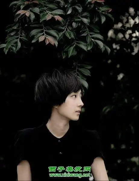 女生剃鬓角短发发型 干练又帅气