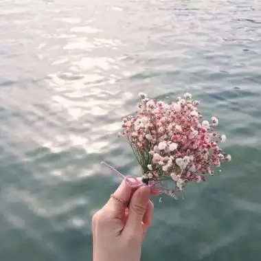 唯美小清新文艺头像适合做头像的文艺小清新图片高清