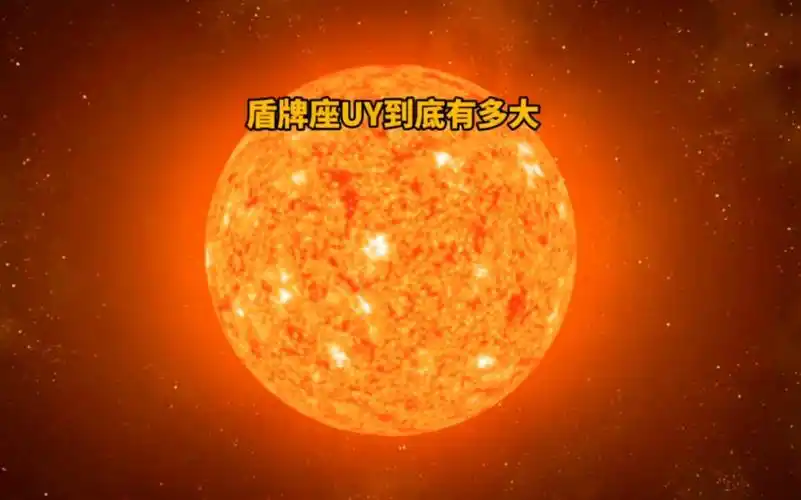 太阳在盾牌座uy面前到底有多渺小?