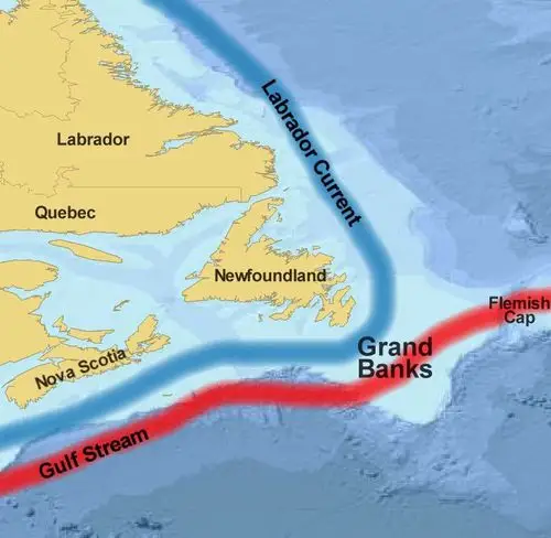 纽芬兰渔场是哪两股洋流交汇而成该渔场的现状如何我们该如何思考