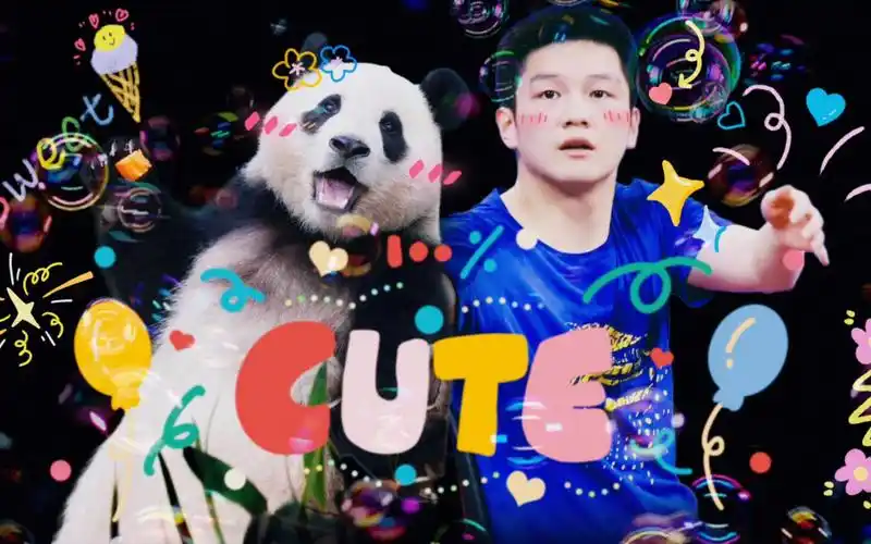 【樊振东|可爱】混剪61我的熊猫宝宝94