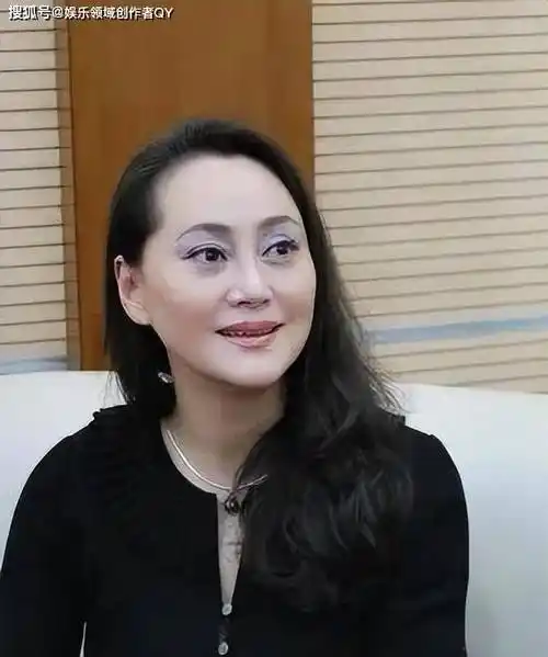 大宋佳:前夫大她21岁,46岁生二胎,55岁却再婚嫁比利时富商_学津_演艺