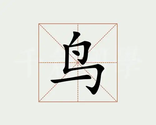 鸟字的意思