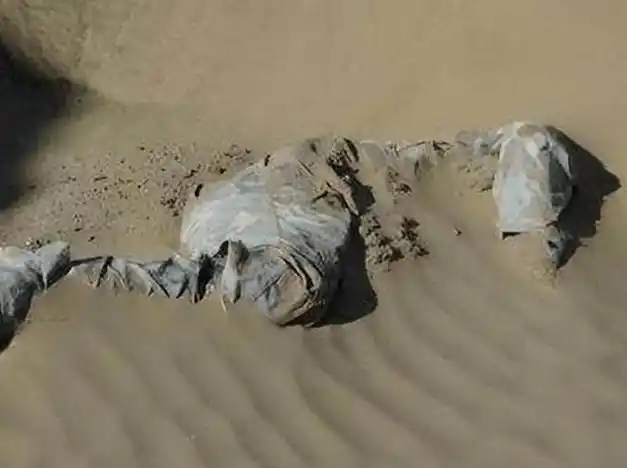 罗布泊惊现神秘干尸,警方调查后震惊:他是失踪58年的志愿军功臣