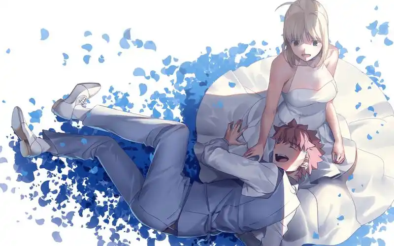 saber的千层套路,对士郎的攻略