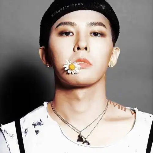 权志龙少一瓣的雏菊花为什么火起来了?