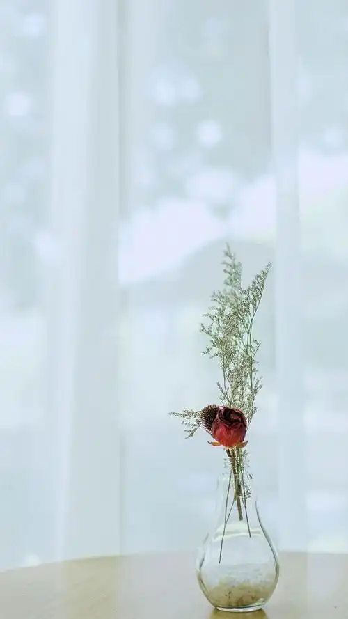 静物照片素材高清图片 小清新治愈系静物创意图片