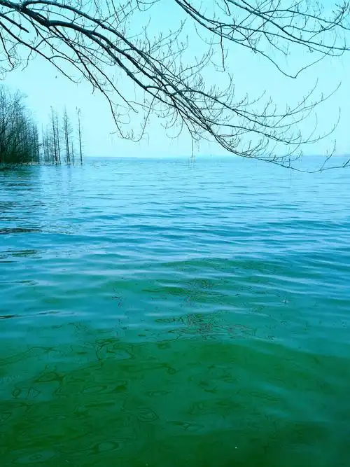 纯净的水面,犹如放空的心灵.