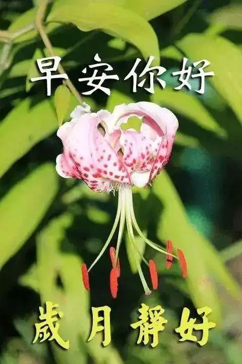 原创2021年3月29日星期一清晨早上好非常漂亮动态表情图片 周一最新