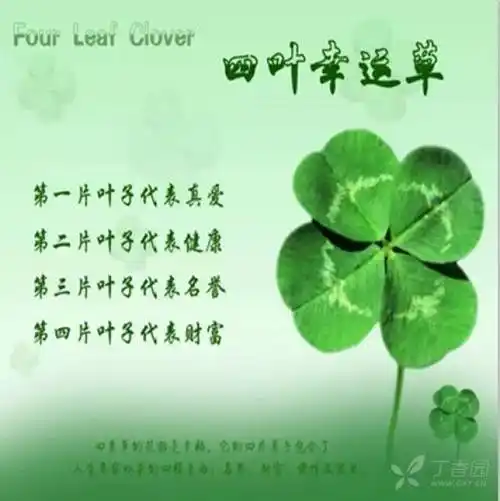晒晒你的头像和昵称吧～1天前     丁香园头像是四叶草,如图,寓意正如